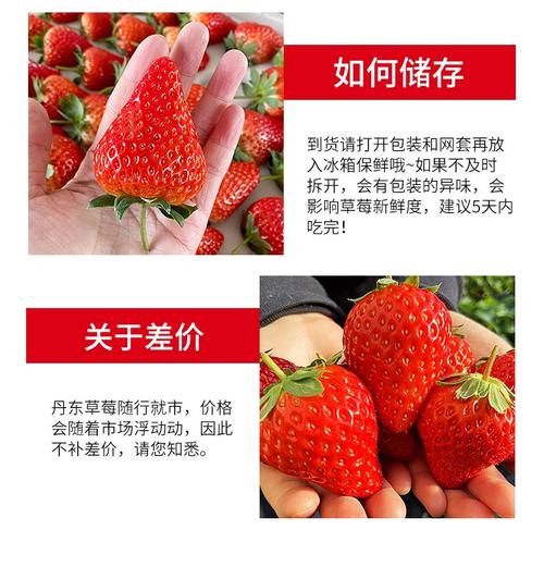 草莓网假货？草莓网海淘是正品吗？